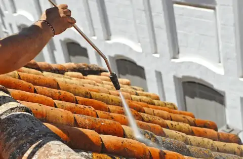 Nettoyage de toitures - Ménestreau-en-Villette